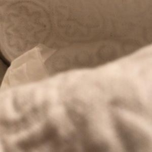 Meet your Posher, Josie